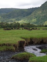 /album/fotos-afrika/sam-0617-small-jpg/